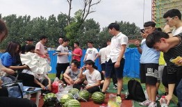 全民吃瓜乐,揭秘网络热点的狂欢盛宴